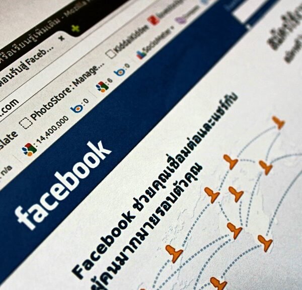 professional web platform online